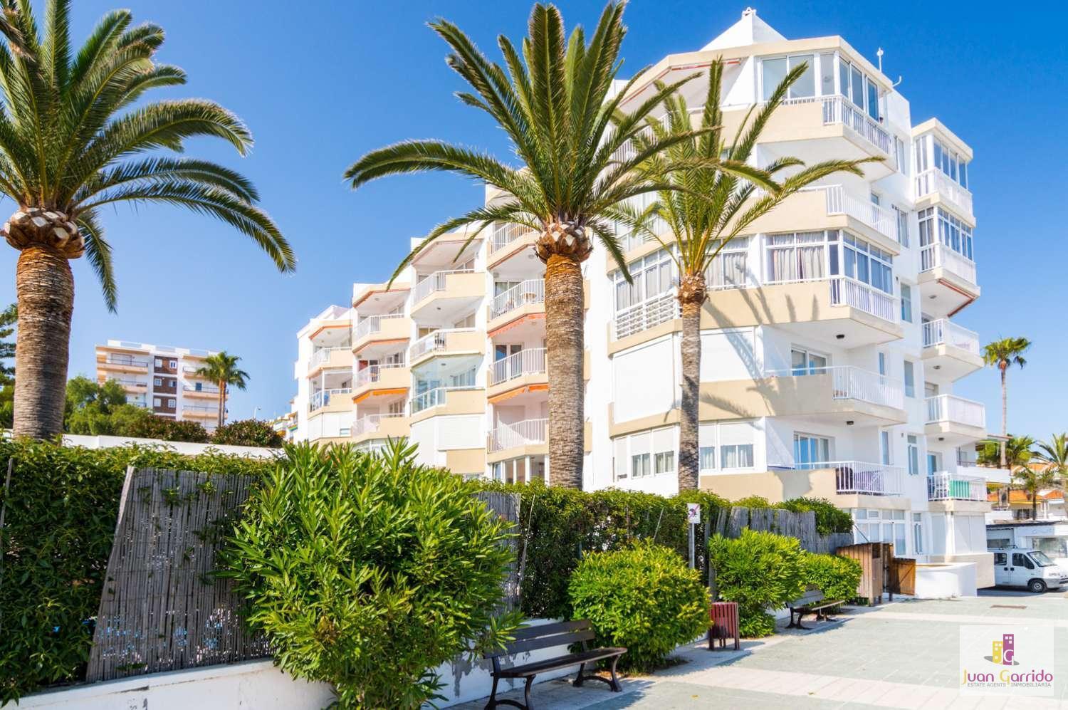 Torrecilla Appartement *